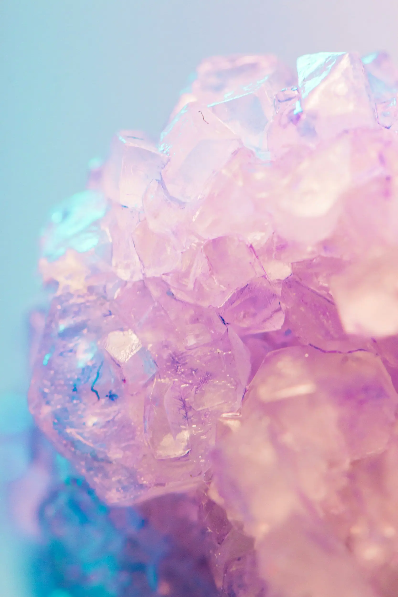 Rose quartz crystals lit in pink and blue